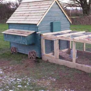 insulated-chicken-house
