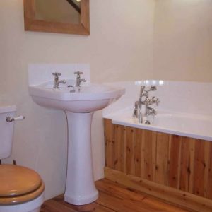 pine-floor-in-bathroom